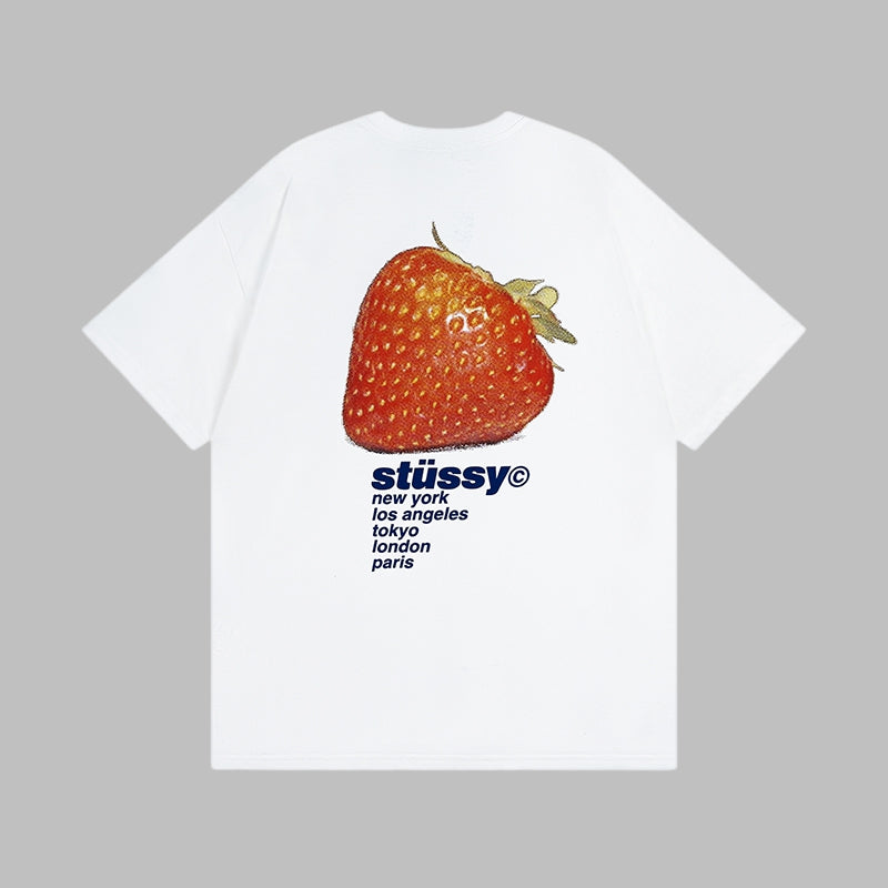Stussy 2025 new short-sleeved T-shirt