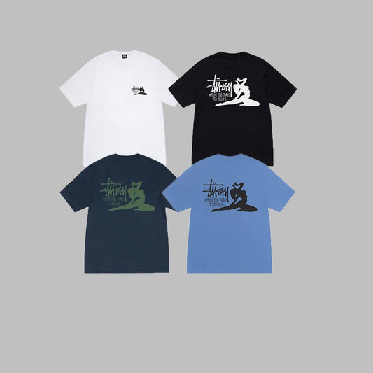 Stussy 2025 new short-sleeved T-shirt